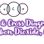 dot and cross diagram of carbon dioxide